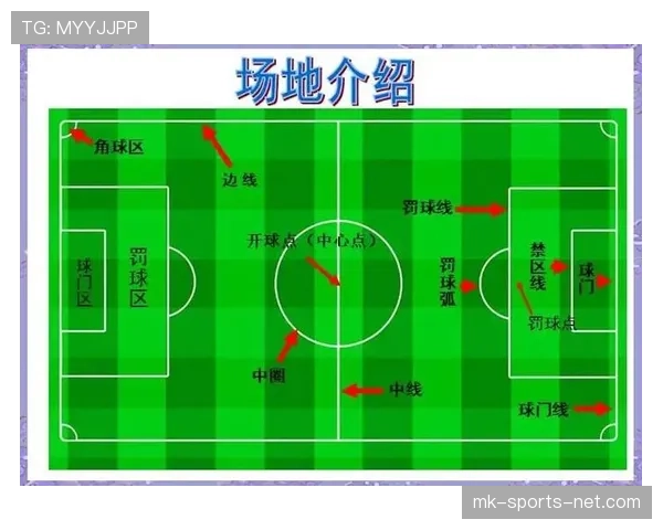 球门尺寸规则：按比赛级别规定的宽高与允许公差